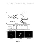 IDENTIFICATION OF ANTI-CANCER COMPOUNDS AND COMPOUNDS FOR TREATING HUNTINGTON S DISEASE AND METHODS OF TREATMENT THEREOF diagram and image