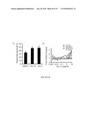 IDENTIFICATION OF ANTI-CANCER COMPOUNDS AND COMPOUNDS FOR TREATING HUNTINGTON S DISEASE AND METHODS OF TREATMENT THEREOF diagram and image