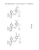 IDENTIFICATION OF ANTI-CANCER COMPOUNDS AND COMPOUNDS FOR TREATING HUNTINGTON S DISEASE AND METHODS OF TREATMENT THEREOF diagram and image