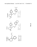 IDENTIFICATION OF ANTI-CANCER COMPOUNDS AND COMPOUNDS FOR TREATING HUNTINGTON S DISEASE AND METHODS OF TREATMENT THEREOF diagram and image