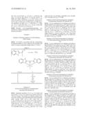 Diene Polymerisation diagram and image