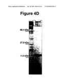 PYROGLUE diagram and image