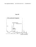 PYROGLUE diagram and image