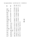 Glyphosate-tolerant 5-enolpyruvylshikimate-3-phosphate synthases diagram and image