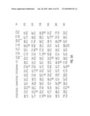 Glyphosate-tolerant 5-enolpyruvylshikimate-3-phosphate synthases diagram and image