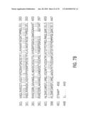 Glyphosate-tolerant 5-enolpyruvylshikimate-3-phosphate synthases diagram and image