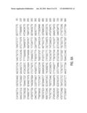 Glyphosate-tolerant 5-enolpyruvylshikimate-3-phosphate synthases diagram and image