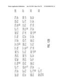 Glyphosate-tolerant 5-enolpyruvylshikimate-3-phosphate synthases diagram and image