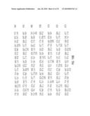 Glyphosate-tolerant 5-enolpyruvylshikimate-3-phosphate synthases diagram and image