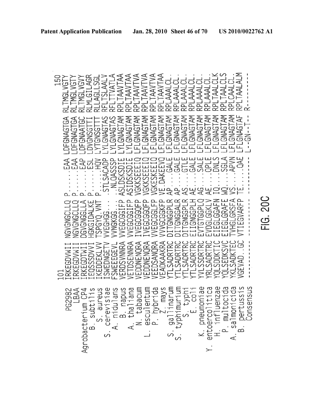 Glyphosate-tolerant 5-enolpyruvylshikimate-3-phosphate synthases - diagram, schematic, and image 47