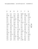 Glyphosate-tolerant 5-enolpyruvylshikimate-3-phosphate synthases diagram and image