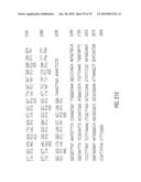 Glyphosate-tolerant 5-enolpyruvylshikimate-3-phosphate synthases diagram and image