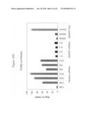 siRNA targeting kinase insert domain receptor (KDR) diagram and image