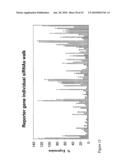 siRNA targeting kinase insert domain receptor (KDR) diagram and image