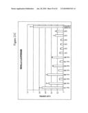 siRNA targeting kinase insert domain receptor (KDR) diagram and image