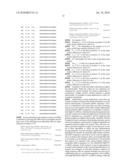 siRNA targeting kinase insert domain receptor (KDR) diagram and image