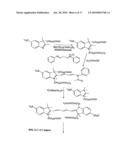 Reactive 1,3 -crosslinked carbocyanines and their bioconjugates diagram and image