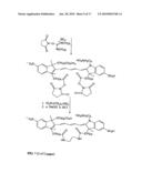 Reactive 1,3 -crosslinked carbocyanines and their bioconjugates diagram and image