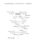 Reactive 1,3 -crosslinked carbocyanines and their bioconjugates diagram and image