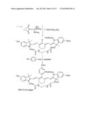 Reactive 1,3 -crosslinked carbocyanines and their bioconjugates diagram and image