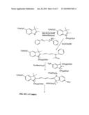 Reactive 1,3 -crosslinked carbocyanines and their bioconjugates diagram and image