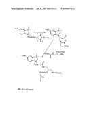 Reactive 1,3 -crosslinked carbocyanines and their bioconjugates diagram and image