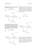 Reactive 1,3 -crosslinked carbocyanines and their bioconjugates diagram and image