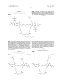 Reactive 1,3 -crosslinked carbocyanines and their bioconjugates diagram and image