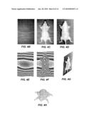 METHOD AND APPARATUS FOR 3-D IMAGING OF INTERNAL LIGHT SOURCES diagram and image