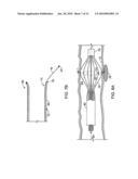 INTRALUMINAL SPECTROSCOPE WITH WALL CONTACTING PROBE diagram and image