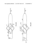 INTRALUMINAL SPECTROSCOPE WITH WALL CONTACTING PROBE diagram and image