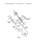 Multiple Drug Delivery From A Balloon And A Prosthesis diagram and image