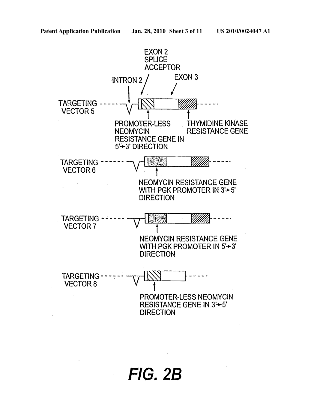 Prion-free transgenic ungulates - diagram, schematic, and image 04