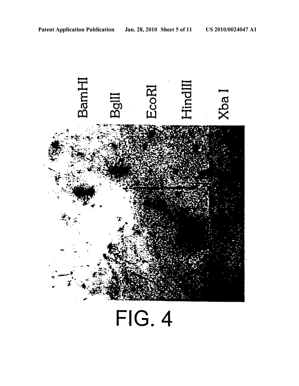 Prion-free transgenic ungulates - diagram, schematic, and image 06