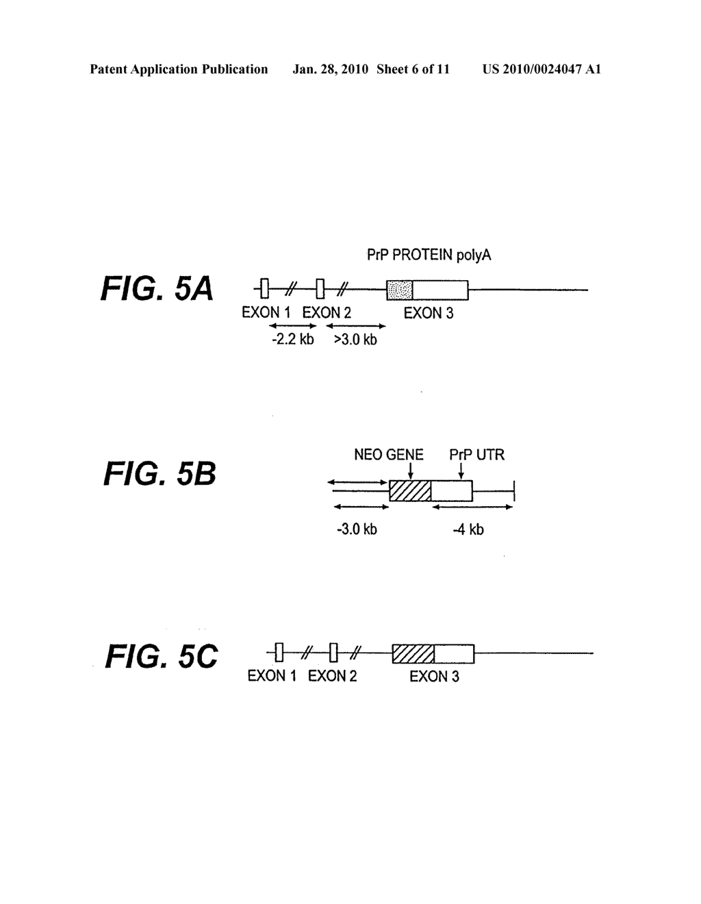 Prion-free transgenic ungulates - diagram, schematic, and image 07