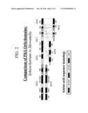 PUFA POLYKETIDE SYNTHASE SYSTEMS AND USES THEREOF diagram and image