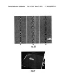 TRANSPARENT MATERIAL PROCESSING WITH AN ULTRASHORT PULSE LASER diagram and image