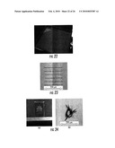 TRANSPARENT MATERIAL PROCESSING WITH AN ULTRASHORT PULSE LASER diagram and image