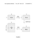 IN VIVO STRUCTURAL AND FLOW IMAGING diagram and image