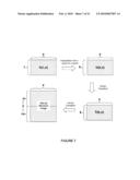 IN VIVO STRUCTURAL AND FLOW IMAGING diagram and image