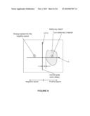 IN VIVO STRUCTURAL AND FLOW IMAGING diagram and image