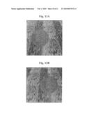 Stereo image matching method and system using image multiple lines diagram and image