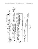 Soil Remediation diagram and image