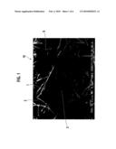 FIBROUS STRUCTURE AND PARTICULATE FILTER TYPE EXHAUST GAS PURIFYING CATALYST diagram and image