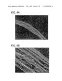 METHOD FOR DIRECTED CELL IN-GROWTH AND CONTROLLED TISSUE REGENERATION IN SPINAL SURGERY diagram and image