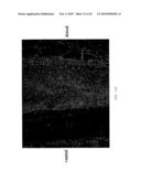 METHOD FOR DIRECTED CELL IN-GROWTH AND CONTROLLED TISSUE REGENERATION IN SPINAL SURGERY diagram and image