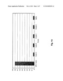 METHODS OF UPMODULATING ADAPTIVE IMMUNE RESPONSE USING ANTI-PD1 ANTIBODIES diagram and image