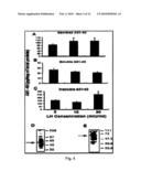 BRAIN-DERIVED GONADOTROPINS AND COGNITION diagram and image