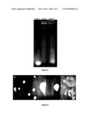 MEMBRANE(S) AND USES THEREOF diagram and image