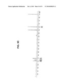 SALTS OF POTASSIUM ATP CHANNEL OPENERS AND USES THEREOF diagram and image